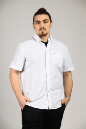 11-high-res 11-high-res